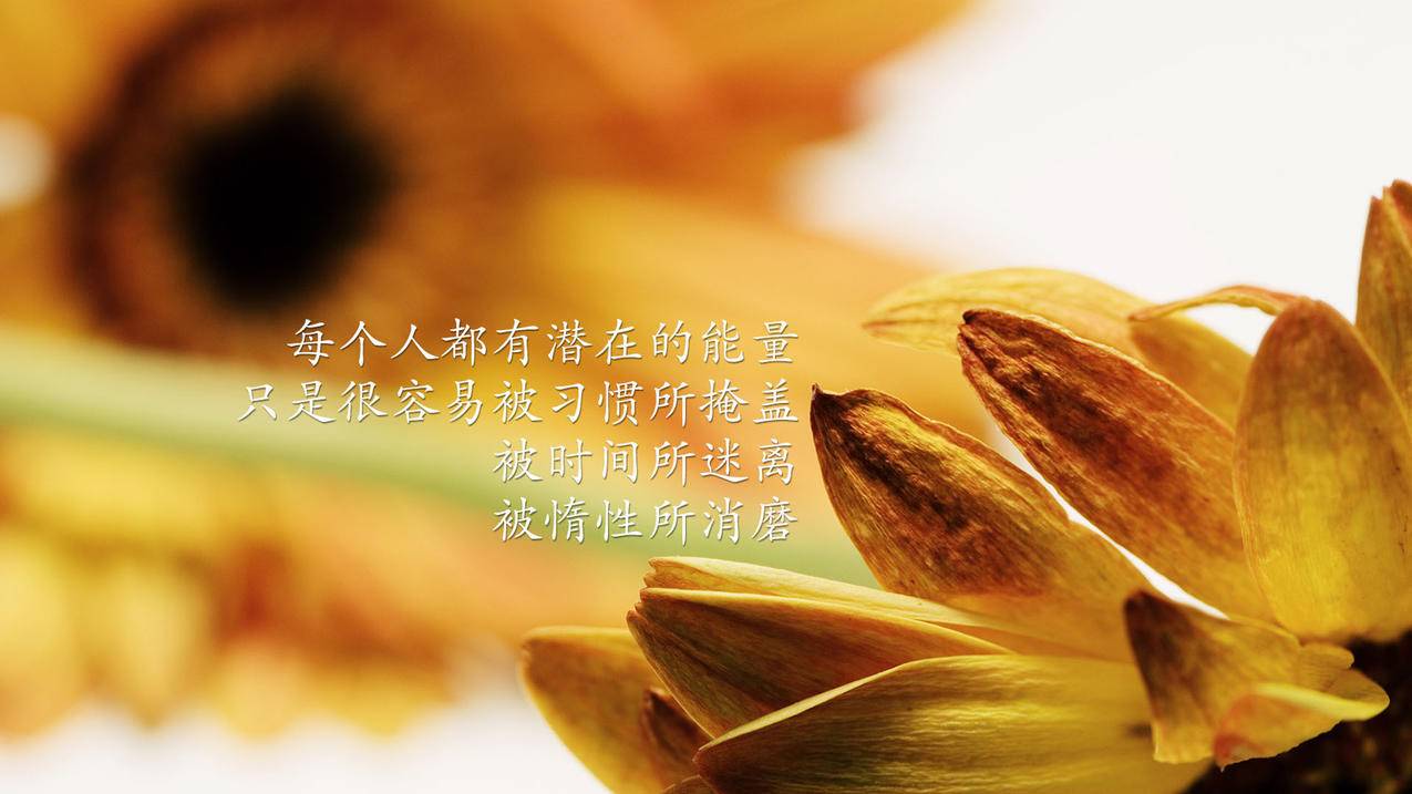 网红商城